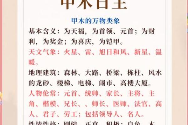 神巴巴八字入门指南：从基础到深入解析