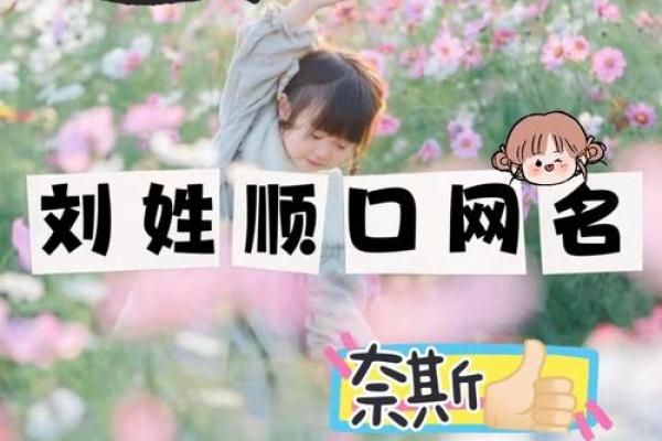 刘姓宝宝起名技巧：如何为男孩女孩选个好名字