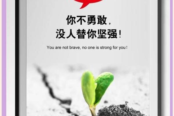 绝处逢生的命运解析：从困境中逆袭的生命力