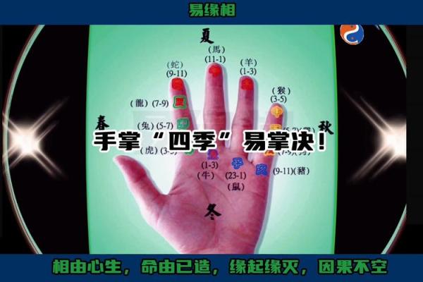 手相学的真实性：迷信还是有数据支持的现象