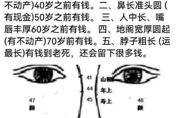 从面相看运势：脸大的你如何应对人生的变化