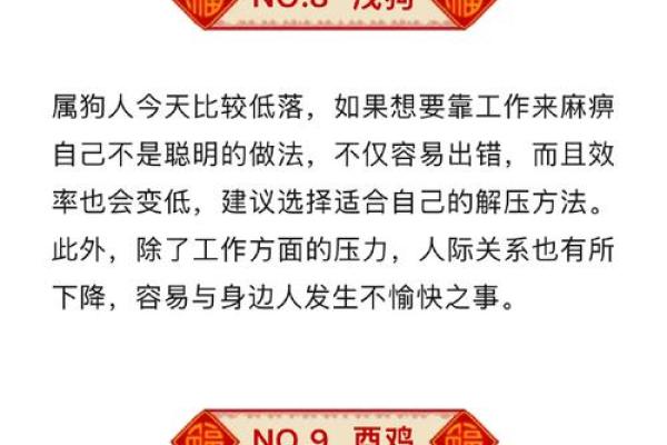 风调雨顺和生肖运势的深层联系