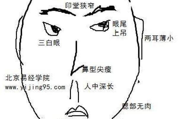 如何通过面相辨别一个人是否老实