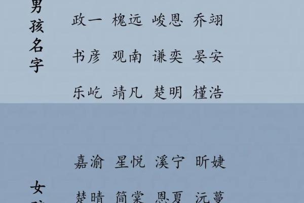 用免费宝宝起名字软件，快速找到适合宝宝的名字