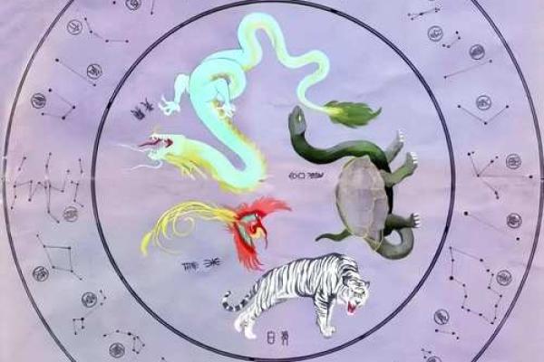 招财白象风水布局与财富增长的关系
