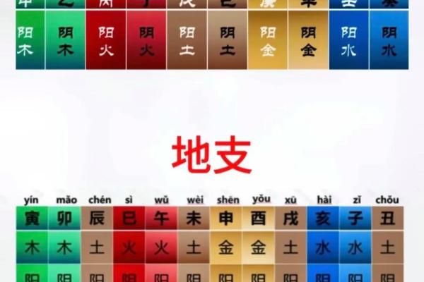 天干地支在命理中的应用与影响