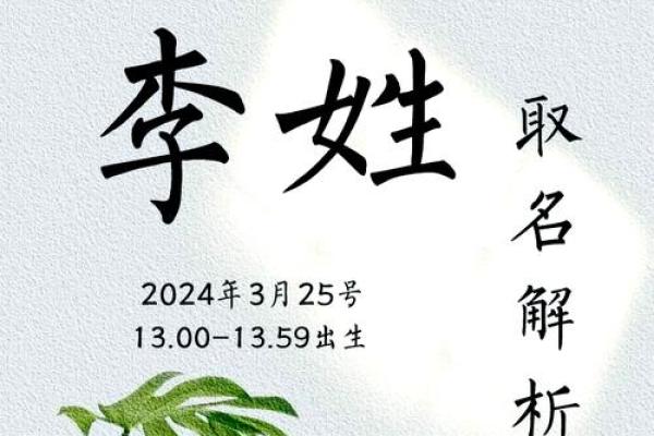 李姓鸡宝宝取名策略，传承与个性并重