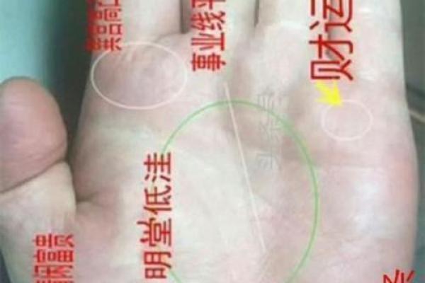解密当官人的手相特征与命运轨迹