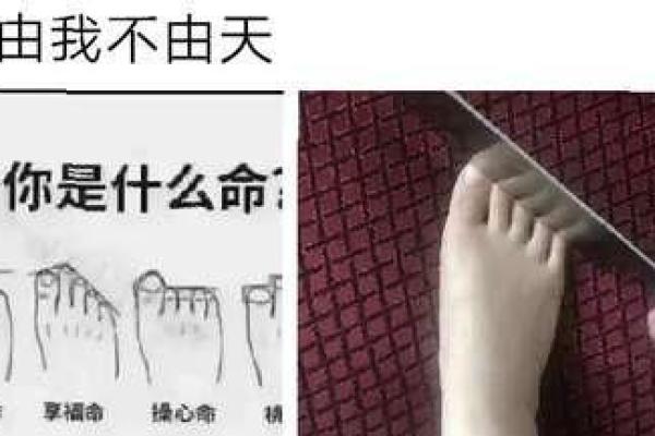 富贵命脚趾特征揭秘：哪些脚趾带来好运与财富
