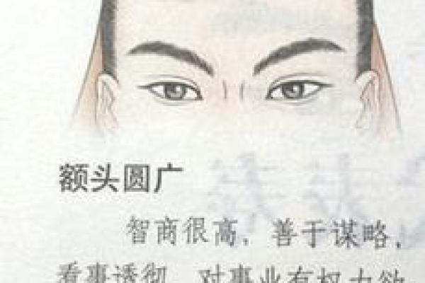 额头宽的面相是否代表聪明与事业成功