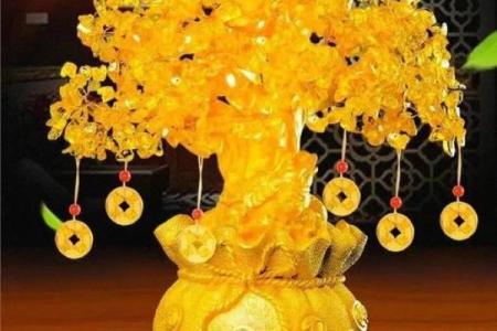 金丝熊风水布局助运提升家运与财运