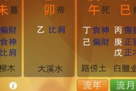 如何通过八字排盘软件免费版解读命运趋势