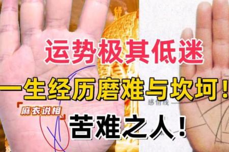 掌握风字手相，洞察个人性格与运势
