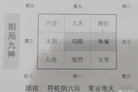 时家奇门排盘软件在命理学中的应用与实践