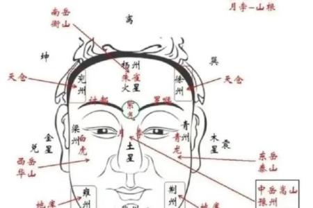 从面相看运势：脸大的你如何应对人生的变化