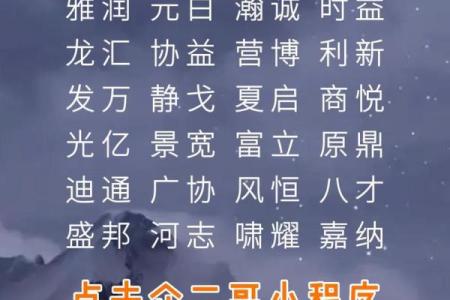 司名称背后的文化与商业价值