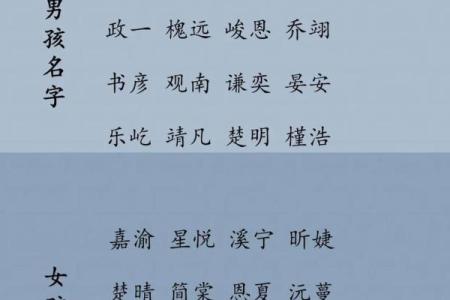 用免费宝宝起名字软件，快速找到适合宝宝的名字