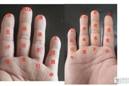 十天干生旺死绝的详细解析与应用指南