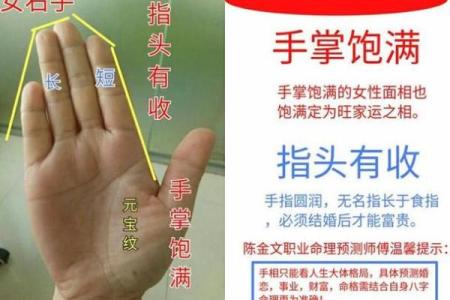 手相所罗门揭秘：如何通过掌纹了解你的命运轨迹
