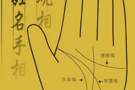 解密当官人的手相特征与命运轨迹