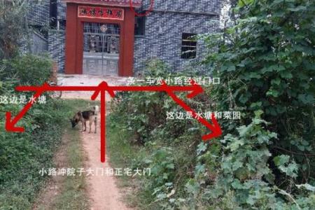 双眼流泪在风水中的象征与影响