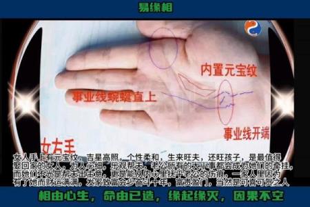 手相分析是否迷信？科学与传统的碰撞