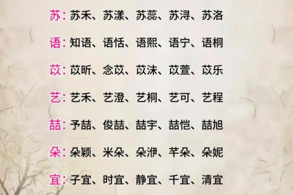 属兔宝宝起名指南：如何为兔年宝宝选择吉祥名字