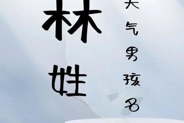 林姓宝宝取名字的创意灵感与文化寓意