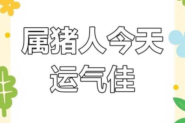 属猪人今日运势解析：幸运与挑战并存的一天