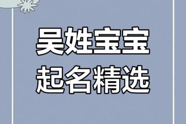 如何为吴宝宝男孩选择一个寓意深远的名字