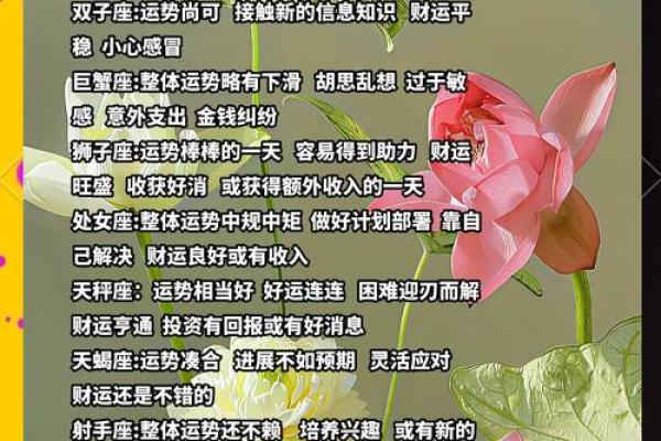 星座今日运势解析：如何应对生活中的波动