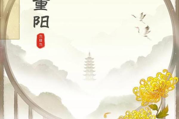 体验中国节日：从端午到重阳的文化解读