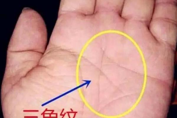 亿万富翁的手相纹：财富与成功的密码
