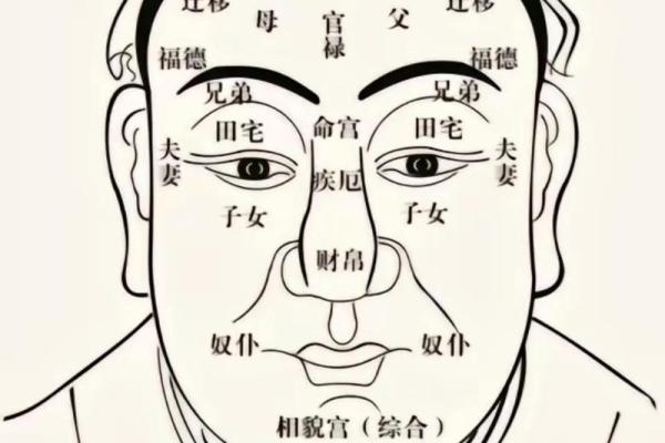 面相图解：如何通过面相图片识别你的性格特点