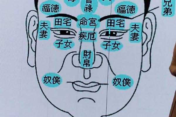 面相图解：如何通过面相图片识别你的性格特点