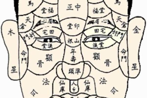 揭秘面相学：通过面相图片分析性格与命运