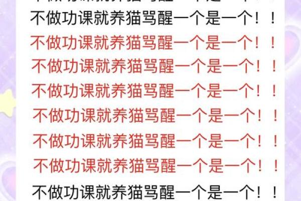 养猫风水书揭秘：如何通过猫咪提升家居运势