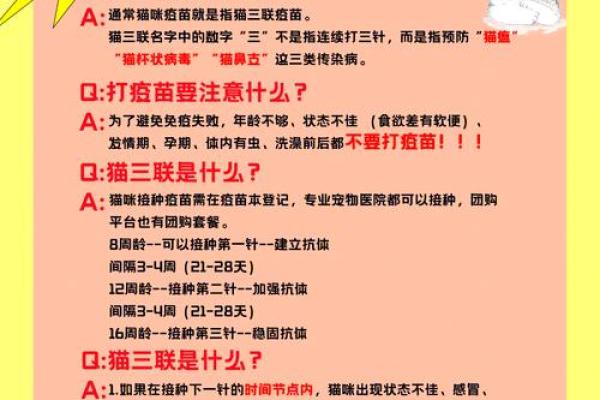 养猫风水书揭秘：如何通过猫咪提升家居运势
