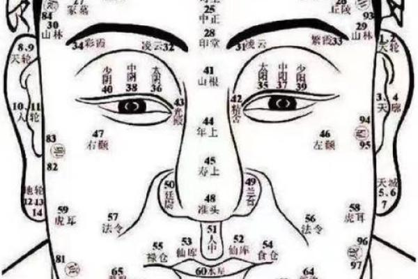 通过八字看你与伴侣的缘分与契合度