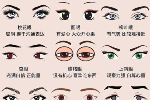 眉毛在男人面相中的独特作用
