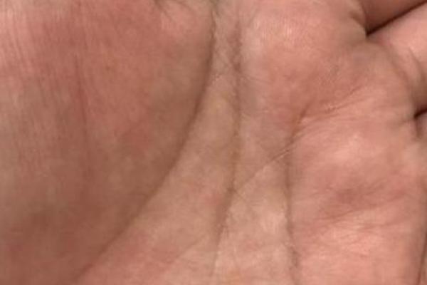 双甲命与事业财富的关联分析