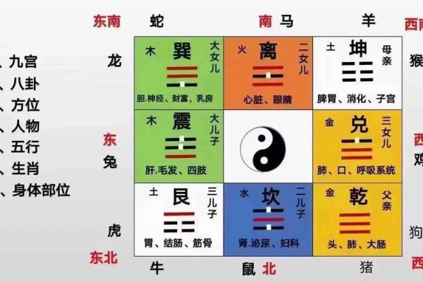 风水布局小窍门，让你的人生更顺畅