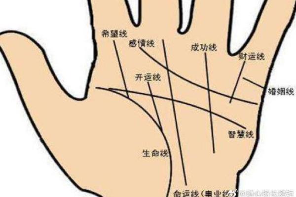 耳朵面相图揭秘：耳朵形状与个人命运的深层联系