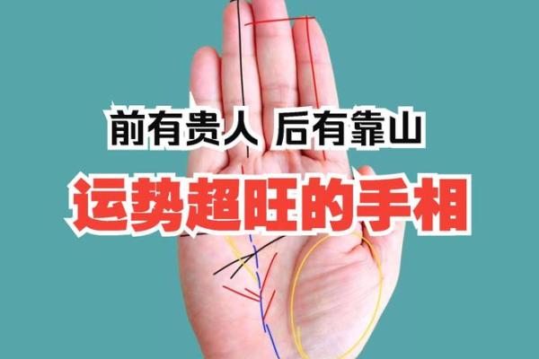 十天干手掌与命运解读：如何通过手相看懂你的五行运势