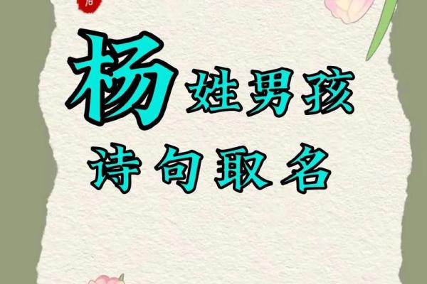 杨姓宝宝起名推荐：简洁大气与传统相结合