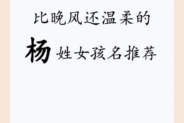杨姓宝宝起名推荐：简洁大气与传统相结合