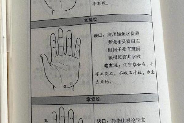 探索手相所罗门之谜：掌纹的神秘与深远含义