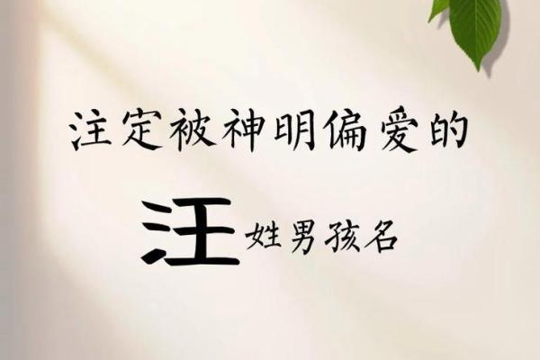 汪姓宝宝起名指南：为宝宝选择寓意深远的名字技巧