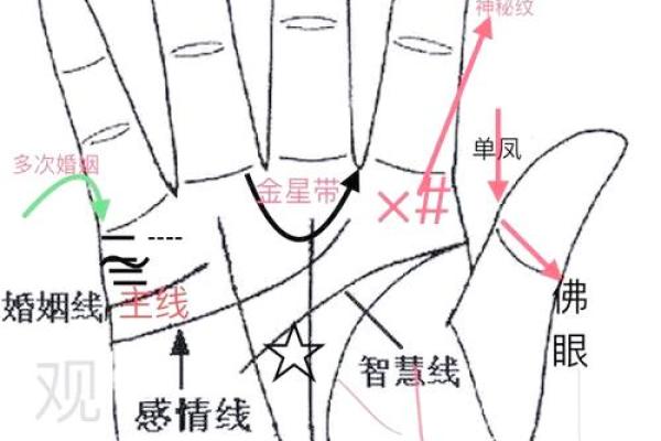 天干手相解析：从掌纹看命运的秘密与玄机