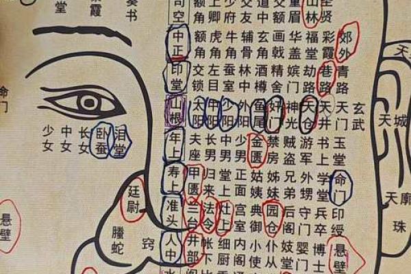 嘴型面相解析：如何通过嘴巴形态看性格与运势